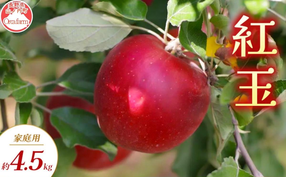 【2026年9月～発送】紅玉 家庭用 約4.5kg りんご リンゴ 林檎 果物 フルーツ 長野県 長野 山ノ内町