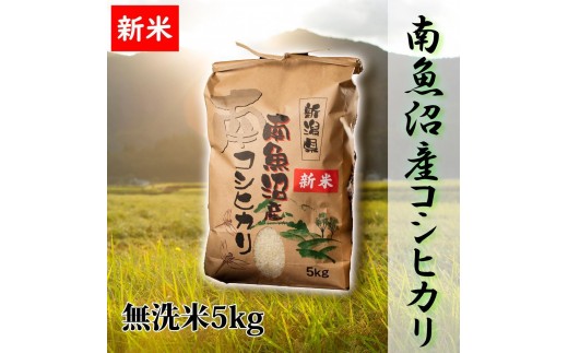 
                  【令和8年産 新米予約】【高級】南魚沼産こしひかり 無洗米5kg 新潟県の特A地区南魚沼市の美味しいお米【銘柄米 ブランド米 無洗米 こしひかり コシヒカリ 魚沼産 新潟米】【2026年10月上旬から1ヶ月以内に順次発送予定】
                