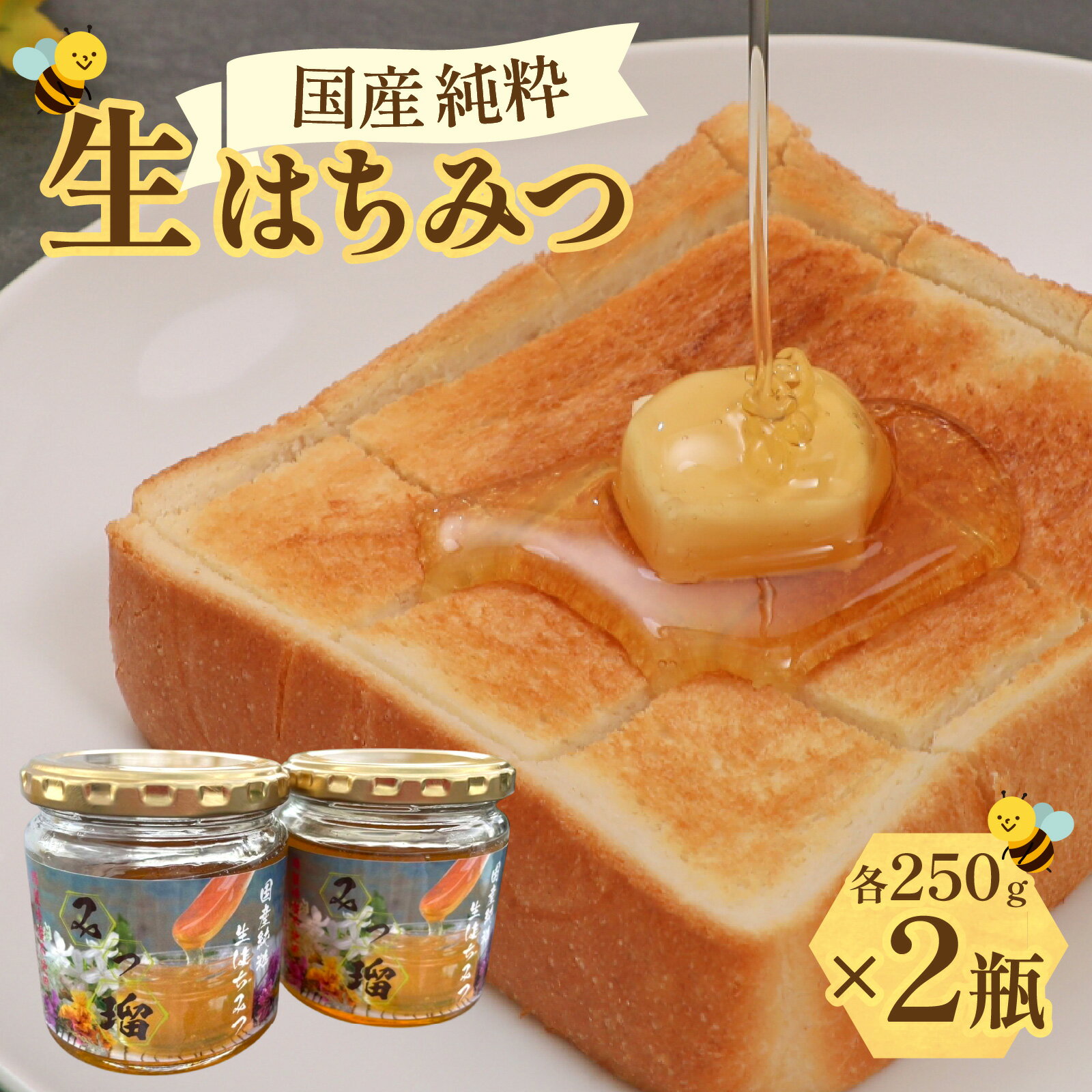 【ふるさと納税】【先行予約】【期間限定】国産純粋生はちみつ [C-03001]