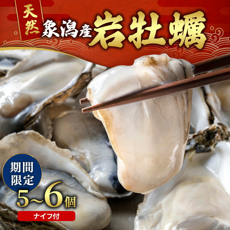 【ふるさと納税】【先行予約 7月上旬～下旬発送予定】にかほ市産 岩牡蠣 5～6個 ナイフ付【牡蠣 夏牡蠣 かき 象潟 魚介類 加熱用 海鮮 海産物 海の幸】　