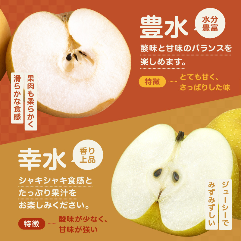 南信州産 梨 約5kg ＜ 幸水 ・ 豊水 ＞ いずれか1品種 おまかせ ＜2026年8月中旬～9月中旬発送＞| 梨 なし ナシ 幸水 豊水 果物 くだもの フルーツ 長野県 信州 南信州 飯田