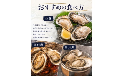 【訳あり】殻付き真牡蠣 600g | 牡蠣 カキ かき 真牡蠣 生食用 殻付き 海鮮 魚介 海のミルク おつまみ おかず 訳あり 家庭用 大分県 中津市