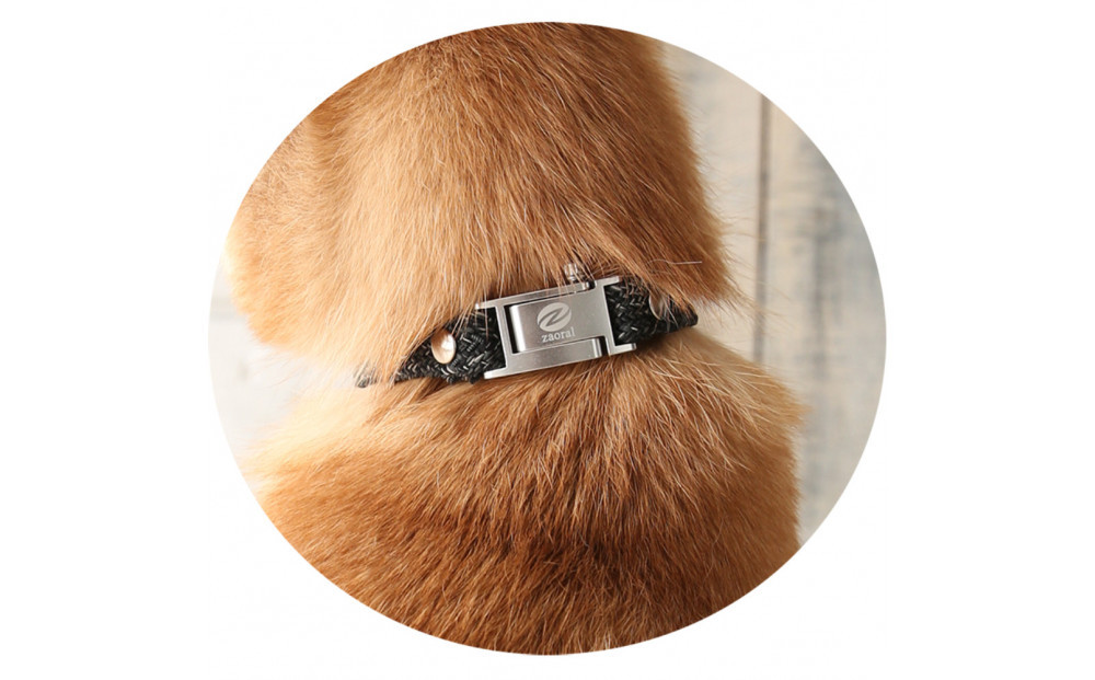 【Size29cm】ザオラル・リカバリーαバンド BK/SI｜横浜市 高機能バンド ペット用アクセサリー