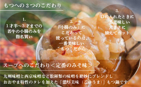 もつ鍋 おおやま みそ味 2人前 もつ鍋