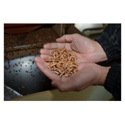 ふるさと納税 伊那市 木質ペレット　ピュア1号　(10kg×6袋) |  | 03