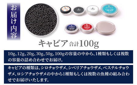 【訳あり】宮崎県産キャビア 詰め合わせ 合計100g キャビア 魚卵 ギフト
