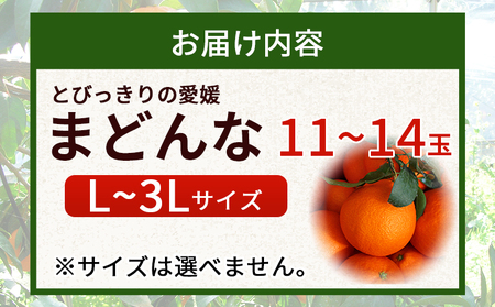 とびっきりの愛媛片山果樹園　まどんな（11～14玉）
