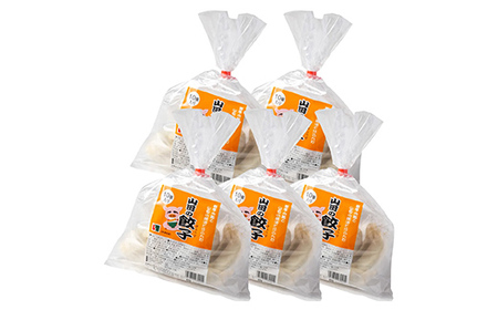 びはん特製！山田の餃子10個入り×5袋 三陸山田 山田町 肉 中華 山田の醤油 惣菜 YD-931