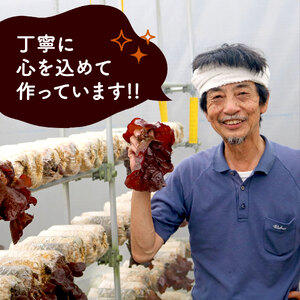 きくらげ 乾燥 丸干し 25g × 4袋 国産 きくらげ
