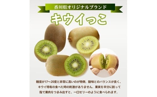 旬のフルーツ 定期便 4回 Cコース 果物 フルーツ いちご 苺 キウイ デコポン 不知火 柑橘 みかん 蜜柑 ゴールドキウイ グリーンキウイ ふるさと納税定期便 ふるさと納税フルーツ スイーツ デザ