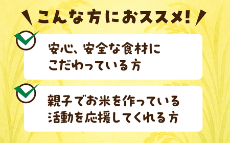 【白米2kg】お米 2kg 白米 お米 米 コメ こめ ご飯