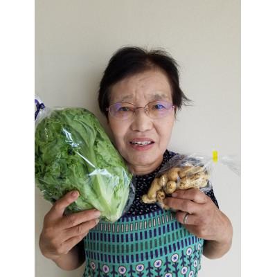 ふるさと納税 大刀洗町 「TACHIARAI」おいしかぁ〜便 (夢つくし2kg入)1〜2人暮らし向け |  | 03