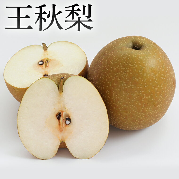【ふるさと納税】【 産地直送 】 王秋 梨 ( 選べる内容量 ) ナシ なし 旬 秋