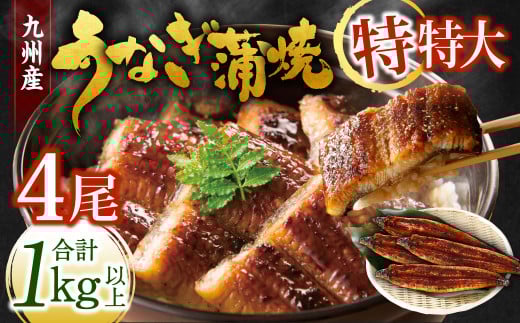 九州産 うなぎ蒲焼 特特大4尾 (1尾あたり250～266g) 合計：1kg以上【2025年9月発送】