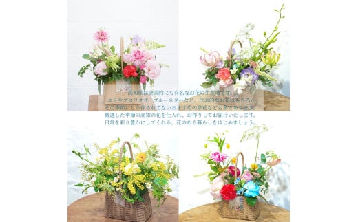 《3ヵ月定期便》季節の生花バスケットフラワーM バスケット 紙バンドバスケット フラワーバスケット 季節 手作り ハンドメイド ブルースター トルコギキョウ お取り寄せ 生花 プレゼント 贈り物_イメ