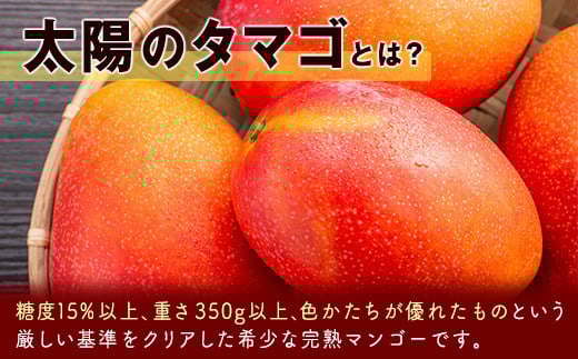 2026年発送　最高級ブランド『太陽のタマゴ』3Lサイズ2個または、2Lサイズ3個【糖度15度以上】宮崎県西都市産完熟マンゴー＜3-48＞宮崎マンゴー【先行予約】
