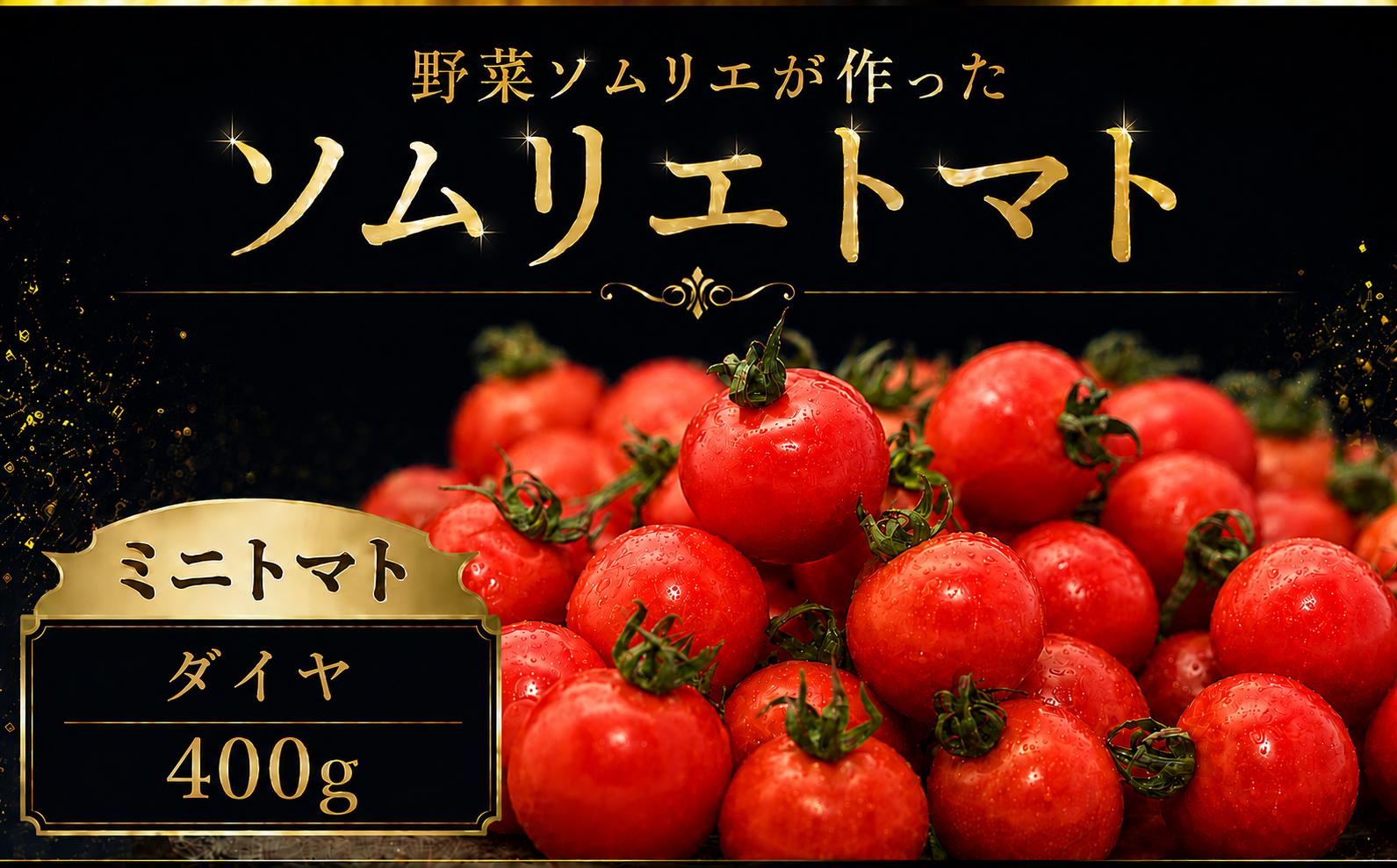 
                  【特別栽培農産物】ソムリエミニトマト・ダイヤ 400g | 野菜 やさい トマト とまと 銀賞 熊本県 玉名市
                