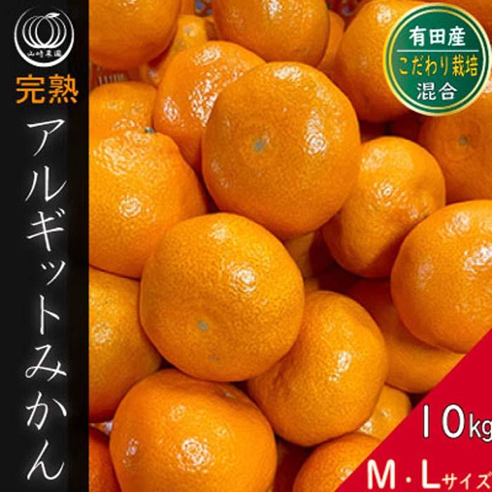 完熟 アルギット みかん 10kg M ～ Lサイズ | 年内発送 可 先行予約 みかん 有田みかん 甘い おいしい ジューシー 皮 薄い 完熟 期間限定 フルーツ 果物 人気 おすすめ 高級 こだわり ギフト 旬 お取り寄せ 送料無料 和歌山  DT010