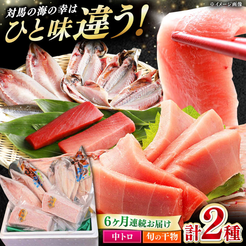 【ふるさと納税】【全6回定期便】対馬産 本マグロ 中トロ300g ＆干物《対馬市》【対海】 [WAH010] 新鮮 マグロ 鮪 本鮪 トロ 海鮮 冷凍 浜干し ひもの 定期