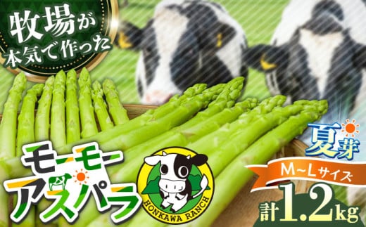 【先行予約】モーモーアスパラ夏芽 L・M 1.2kg（6月中旬より順次発送） 食べやすい太さの2種セット 1.2kg 日田市 / 有限会社本川牧場 [ARAI038]