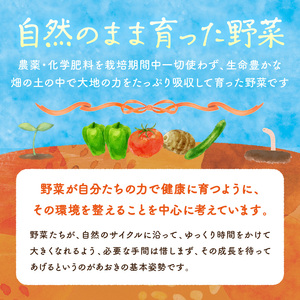 自然栽培じゃがいも2.5㎏｜芋