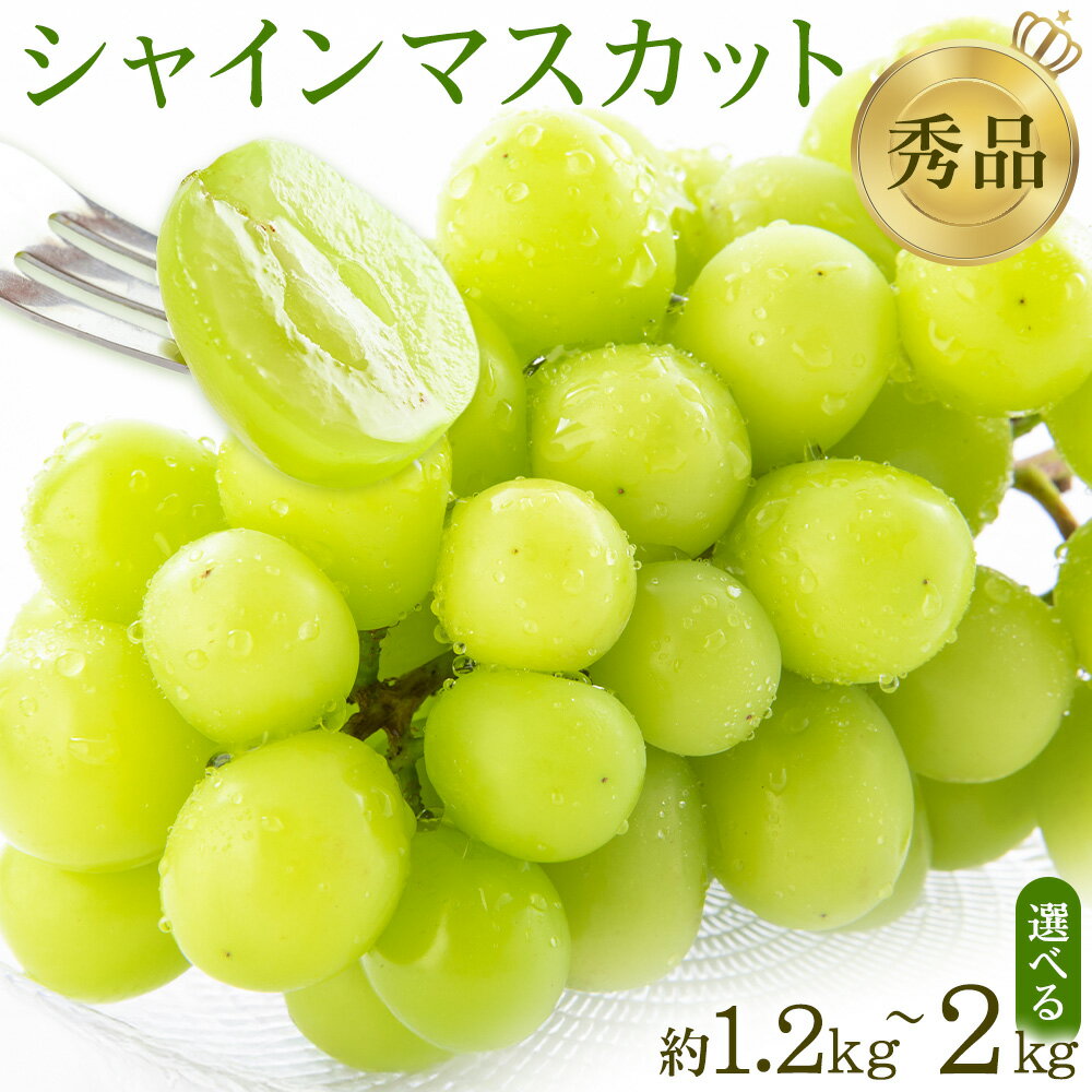 【ふるさと納税】【先行予約】シャインマスカット 秀品 選べる内容量 約1.2kg 約2kg 日本フルーツ 《2026年6月中旬-8月末頃出荷》熊本県 菊池市 ぶどう ブドウ 果物 フルーツ スイーツ デザート ギフト ご贈答