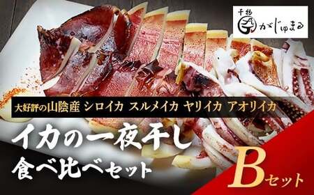 シロイカ入りイカの一夜干し食べくらべセット（Bセット）