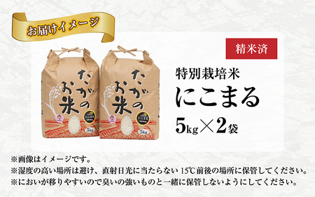 【期間限定】【令和6年産】特別栽培米にこまる（計10kg）多賀のお米