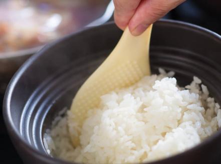 【令和7年産】宮崎県産こしひかり「シタギリ米」10kg（5kg×2）【 米 お米 白米 精米 国産 宮崎県産 こしひかり おにぎり 】[C04202]