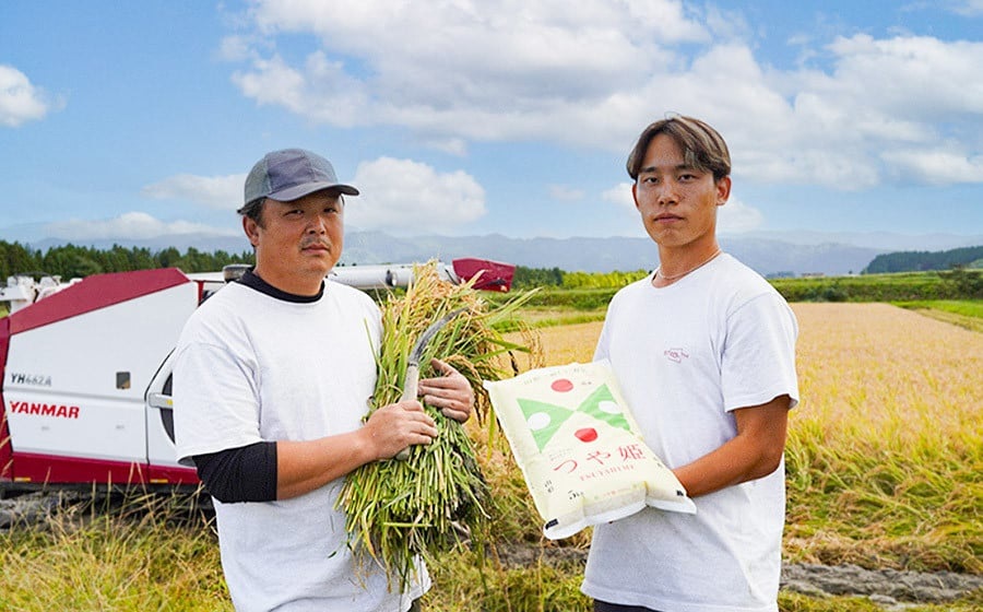 【定期便】令和7年産 特別栽培米 つや姫 精米 5kg×3ヶ月 山形県鶴岡市産 株式会社嘉左エ門