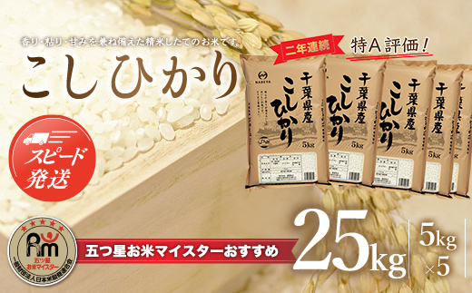 【最短2～7営業日出荷】令和7年産 2年連続特A評価!千葉県産コシヒカリ25kg（5kg×5袋）