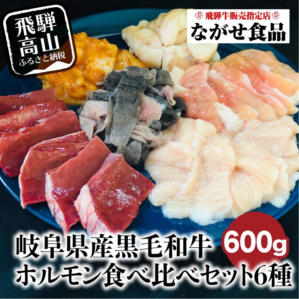 【ふるさと納税】岐阜県産 黒毛和牛 ホルモン 食べ比べセット 600g（100g×6）| シロホルモン ハツ センマイ テッチャン 赤センマイ 希少部位 飛騨高山 ながせ食品 FH011