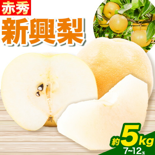 【先行予約】新興梨 赤秀 約5kg (7～12玉) JA鳥取いなば《2025年10月中旬-11月中旬頃出荷》鳥取県 八頭町 梨 なし ナシ 果物 フルーツ  ふるさと納税 送料無料 新興梨 果実 果汁 常温便
