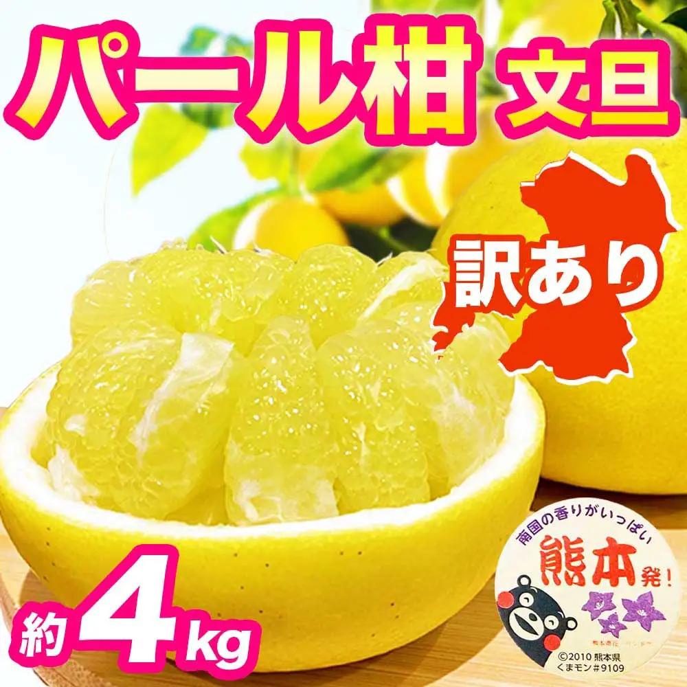 先行予約 訳あり パール柑 文旦   約4kg  【2027年2月上旬～2027年3月下旬配送予定】