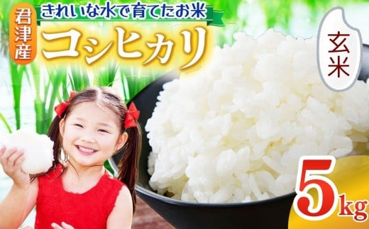 玄米 令和7年産 コシヒカリ 5kg きれいな水で育てたお米 2週間以内に発送 | 保坂農場 げんまい ご飯 おにぎり 名水 おいしい水 ちばエコ農産物 君津市産 イチオシ 千葉 君津市 きみつ 房総