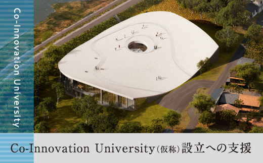 仮称　飛騨高山大学設立支援　返礼品なしの寄付