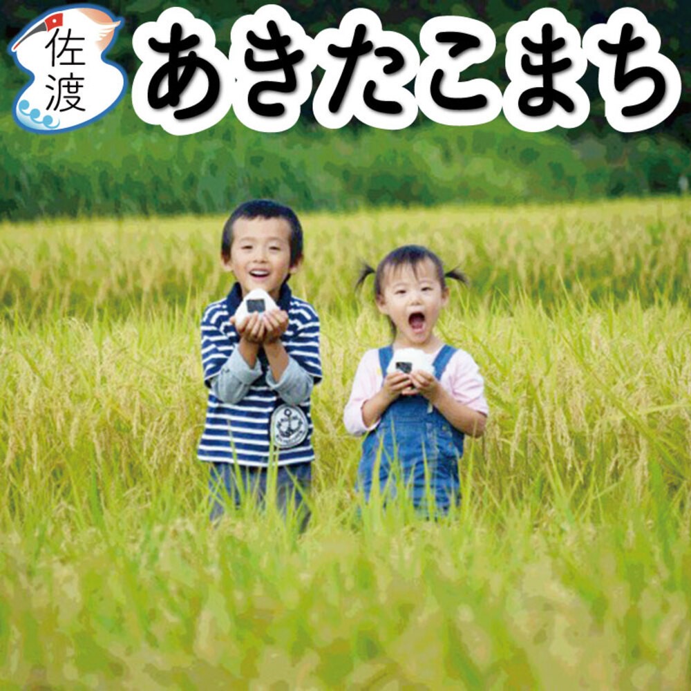 
                  佐渡島産あきたこまち 白米10kg (5kg×2袋） 令和7年産 【食の宝島佐渡】
                