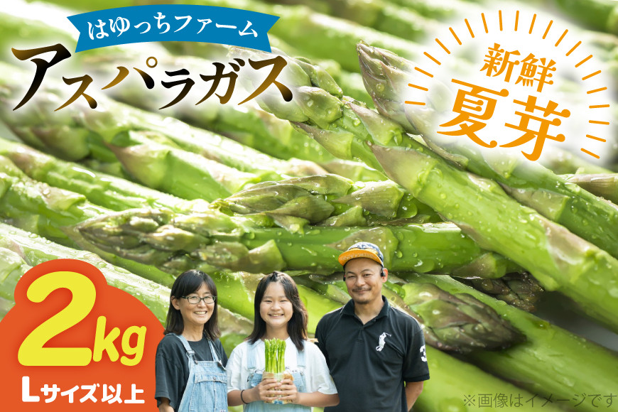 
                  アスパラ アスパラガス 夏芽アスパラガス 2kg L サイズ以上 [はゆっちFARM 長崎県 東彼杵町 hs42bag360003] アスパラ あすぱら 新鮮 夏
                