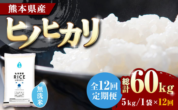 
【全12回定期便】 ヒノヒカリ 無洗米 5kg【有限会社 農産ベストパートナー】5kg 無洗米 精米 特A ヒノヒカリ ひのひかり コメ 米 お米 熊本県 熊本県産 定期 [ZBP092]
