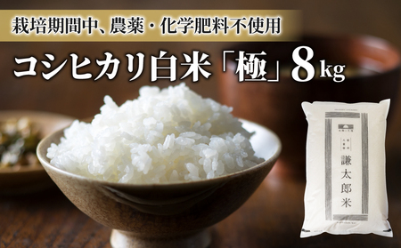 【太陽と大地】令和7年産「八重原産コシヒカリ白米「極」（栽培期間中農薬化学肥料不使用）８kg」※2025年10月中旬以降発送　白米白米白米白米白米