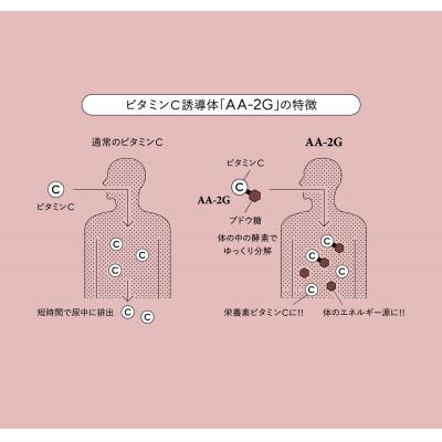 ふるさと納税 岡山市 プロビタC　顆粒　60包入り　5箱セット |  | 01