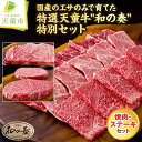 国産のエサのみで育てた特選天童牛"和の奏"特別セット(焼肉・ステーキセット)【山形県 天童市】