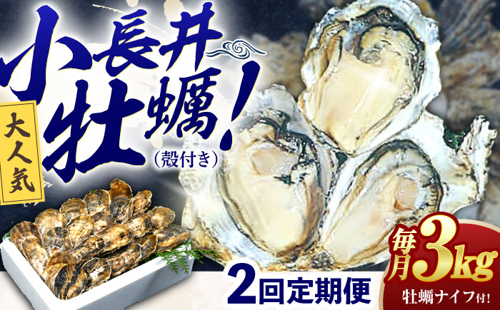 【2回定期便】長崎県諫早市小長井牡蠣(殻付きカキ)3kgカキナイフ付き / 牡蠣 かき　カキ 小長井牡蠣 貝 / 諫早市 / 諫早湾漁業協同組合 [AHBJ010]