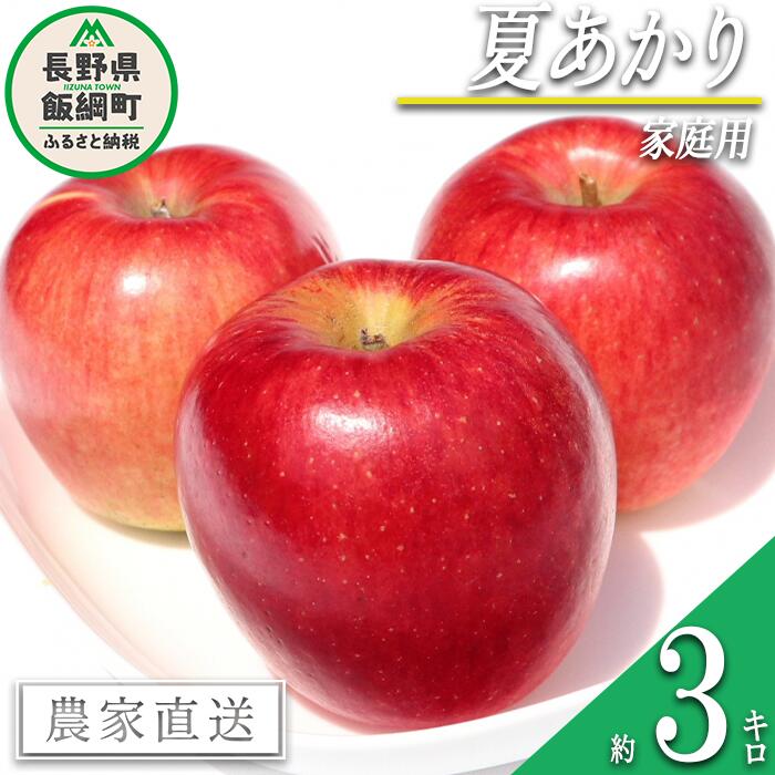 【ふるさと納税】 りんご 夏あかり 家庭用 3kg マルカズりんご農園 沖縄県への配送不可 令和7年度収穫分 長野県 飯綱町 〔 信州 果物 フルーツ リンゴ 林檎 長野 12000円 予約 農家直送 〕発送時期：2025年8月中旬〜2025年8月下旬
