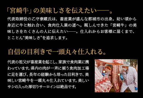 宮崎県産 厚切り 宮崎牛 サーロインステーキ 600g(300g×2) |牛肉 牛 肉 厚切り サーロインステーキ サーロイン ステーキ