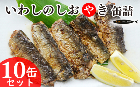いわしのしおやき缶 10缶セット  缶詰 缶詰 缶詰 缶詰 缶詰