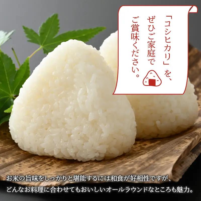コシヒカリ 4kg 精米 コシヒカリ