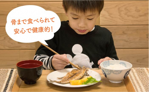 【全3回定期便】D 壱岐産 干物セット （木箱無し） [JBD045] 干物 ひもの 定期便 レトルト 30000 30000円 