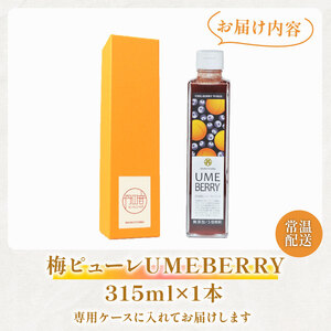 梅ピューレUMEBERRY 1本 ( ブルーベリーピューレ 梅ベリーピューレ 果物ピューレ 京都ピューレ )