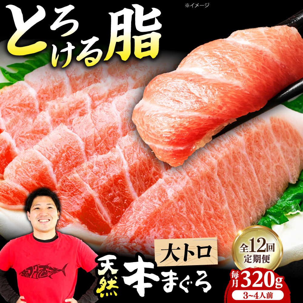 【ふるさと納税】【全12回定期便】極上！たね熟天然本まぐろ大トロ(320g) 天然 マグロ 鮪 大トロ 刺身 魚 魚介 大阪府高槻市/本まぐろ直売所[AOCE024]